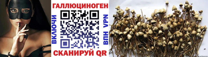 хочу   MEGA онион  маркетплейс как зайти  Ступино  Псилоцибиновые грибы ЛСД 