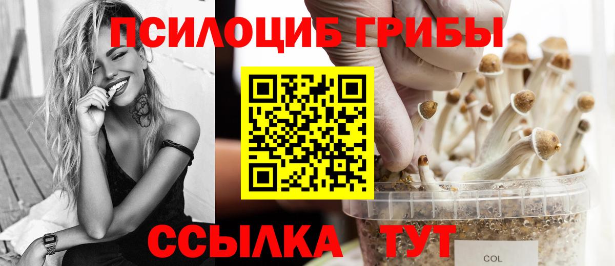 Галлюциногенные грибы мицелий Ступино